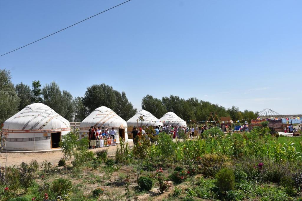 KARAKALPAK ETNO VILLAGE photo 3