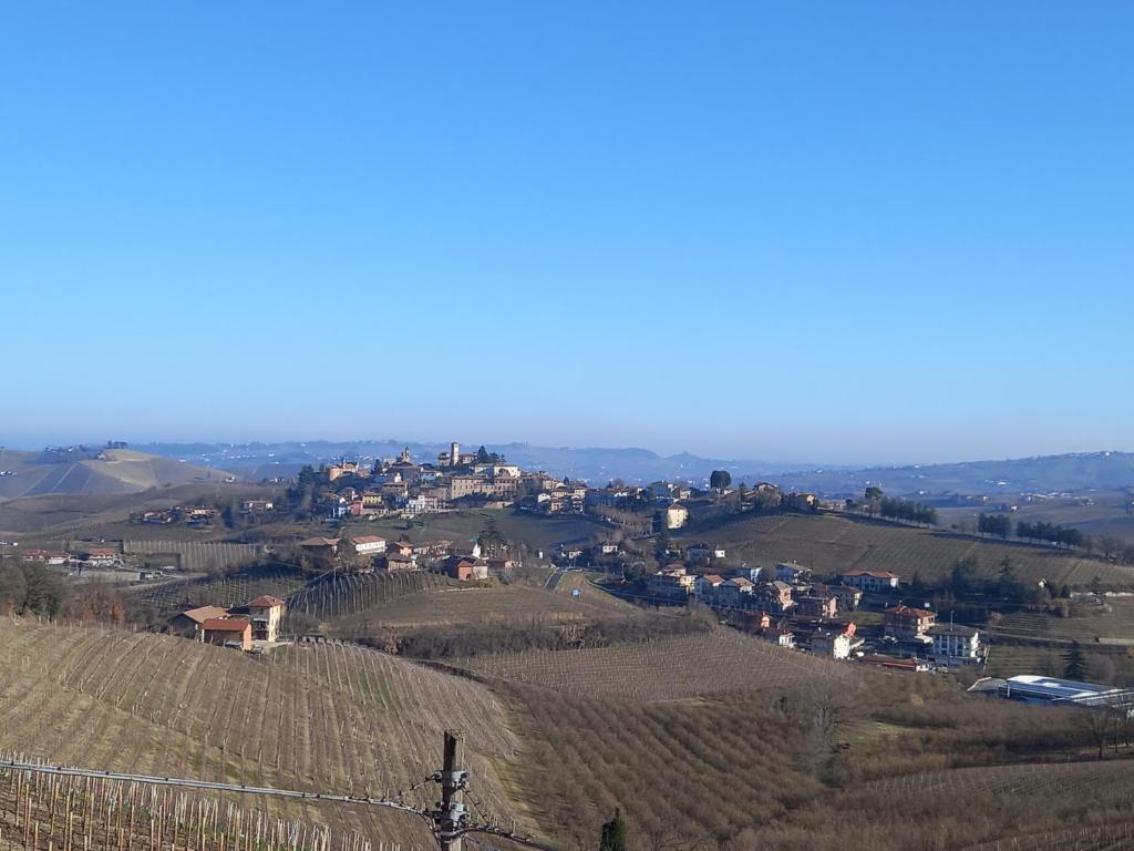 I Quattro Grappoli photo 1