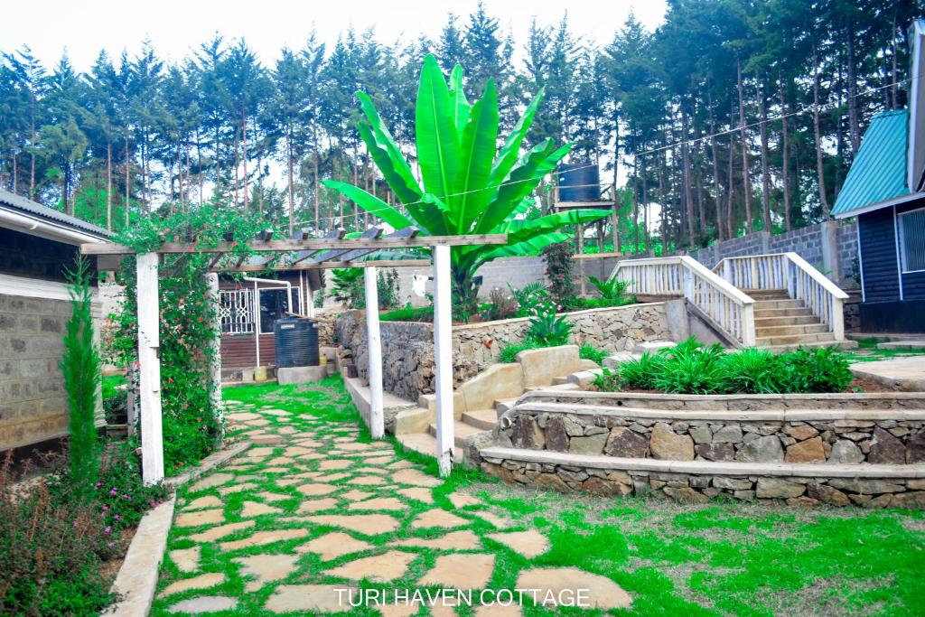 TURI HAVEN COTTAGE photo 4