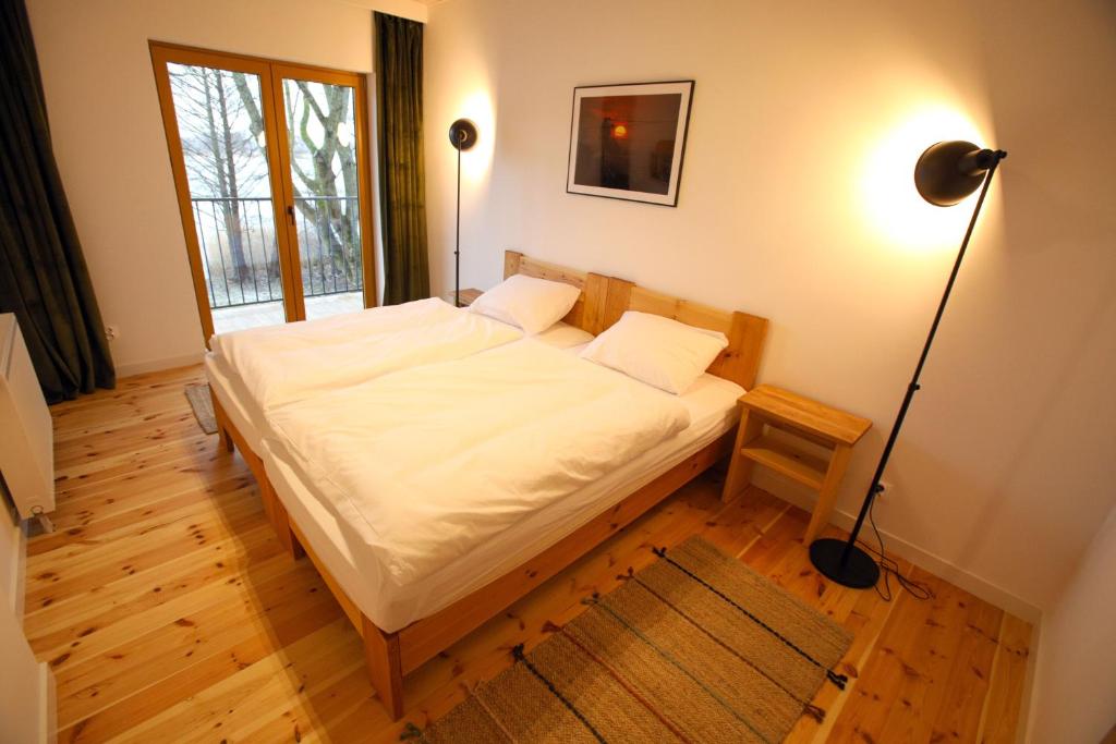 Kaktus photo 4