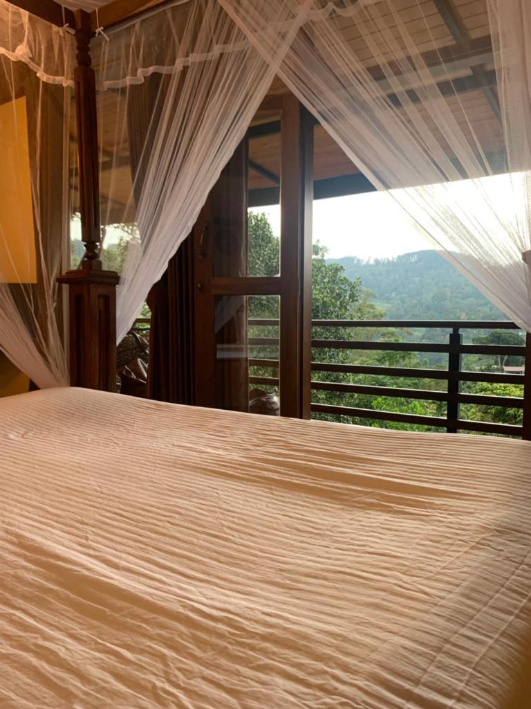 Cozy Homestay photo 2