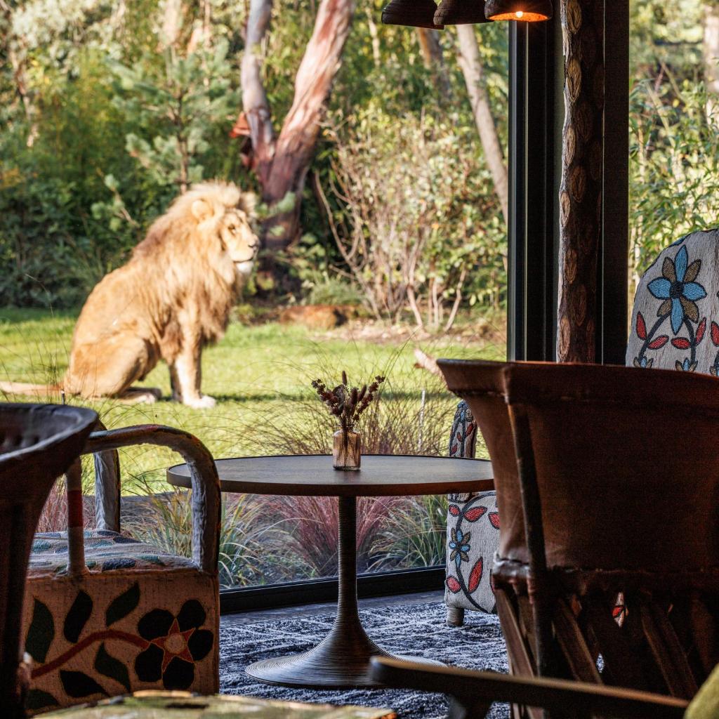 Safari Suite Zoo de la Flèche photo 1