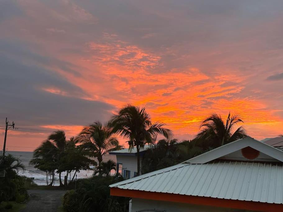 A Piece of Paradise photo 2
