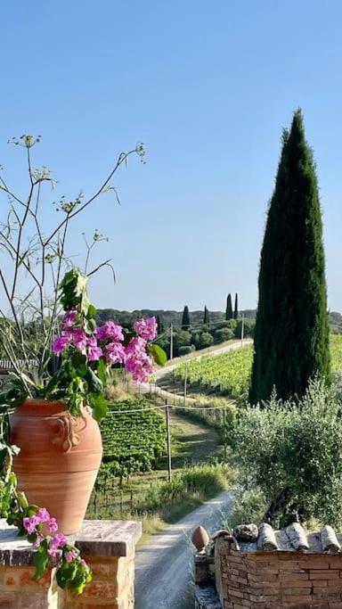 La Terrazza sul Chianti photo 4