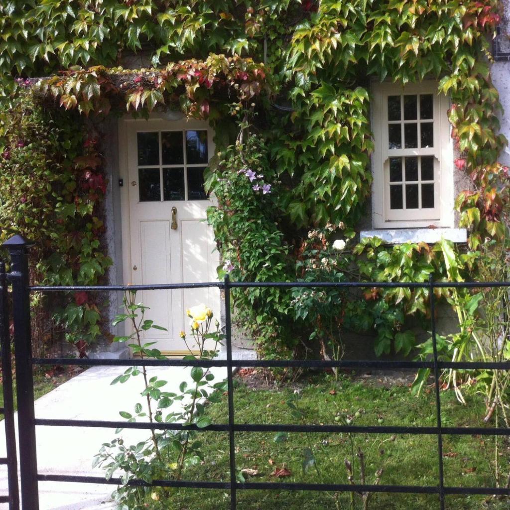 Castle Ivy Lodge