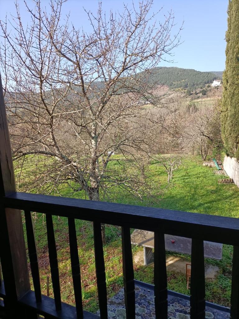 CASA DA RIBEIRA photo 3