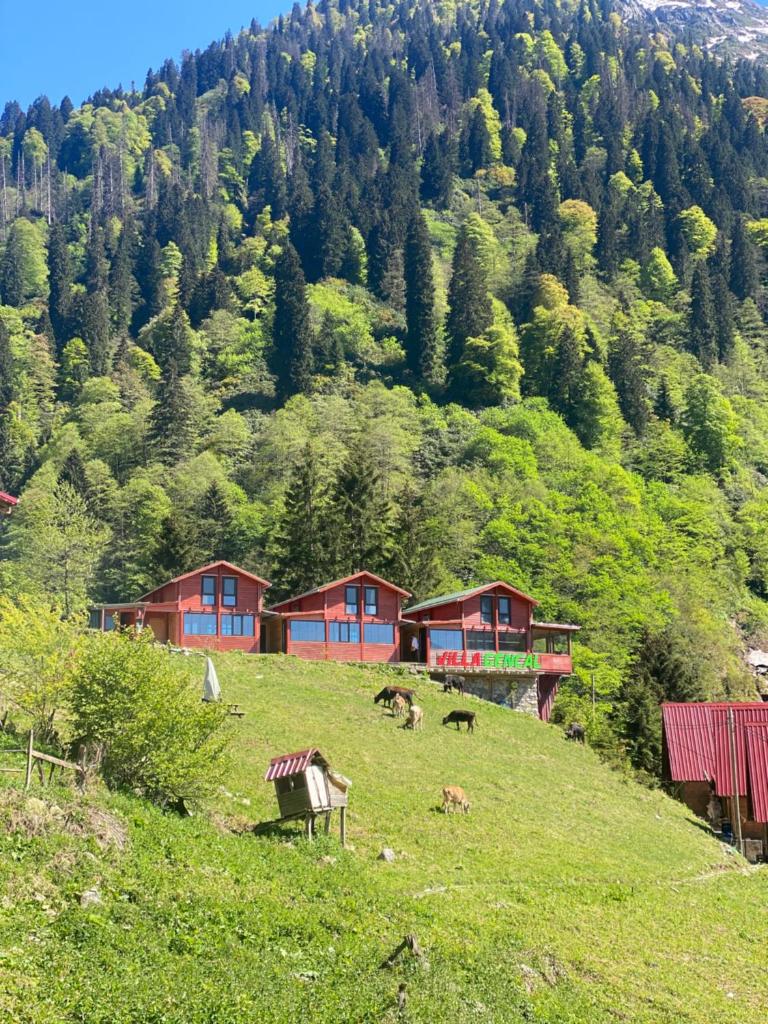 Ayder Villa Gencal photo 3
