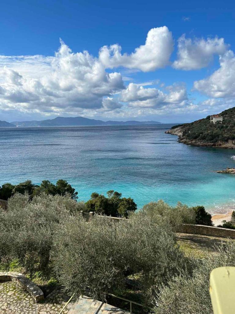 Ammos Beach Villa photo 4