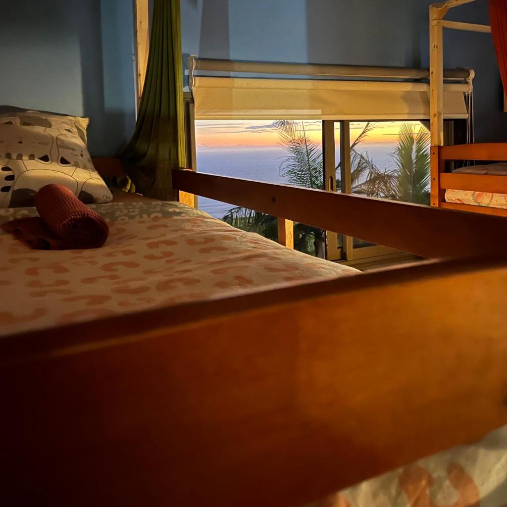 Dodo House auberge de jeunesse photo 3