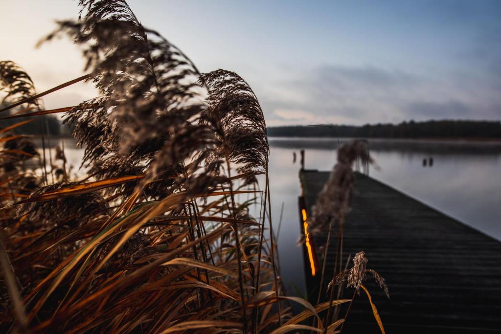 Feriendomizil mit eigenem Steg in traumhafter Lage photo 4
