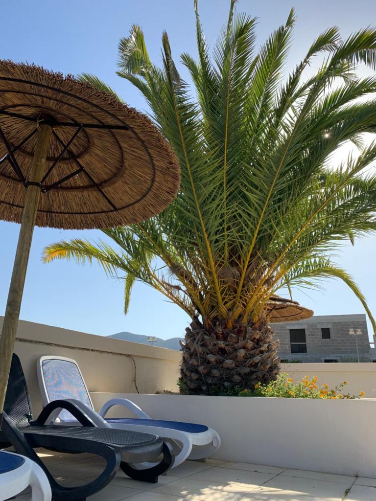 Charmante petite maison dans résidence avec piscine 800 m, mer 4 à 6 personnes photo 2