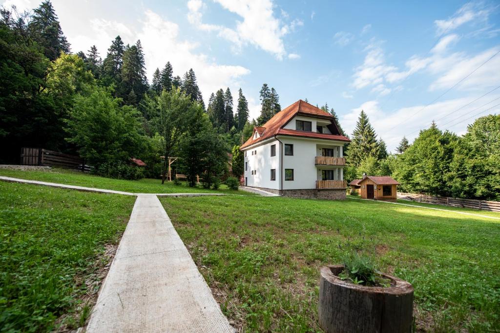 Forest Resort photo 3