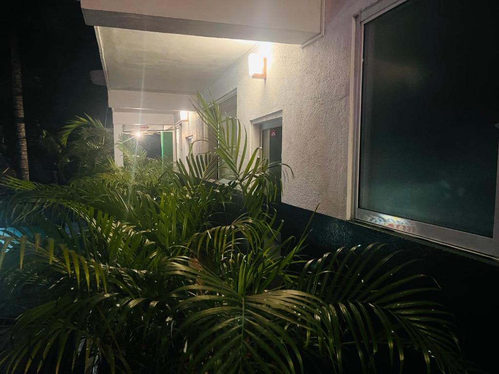 Sahas Guest House photo 4