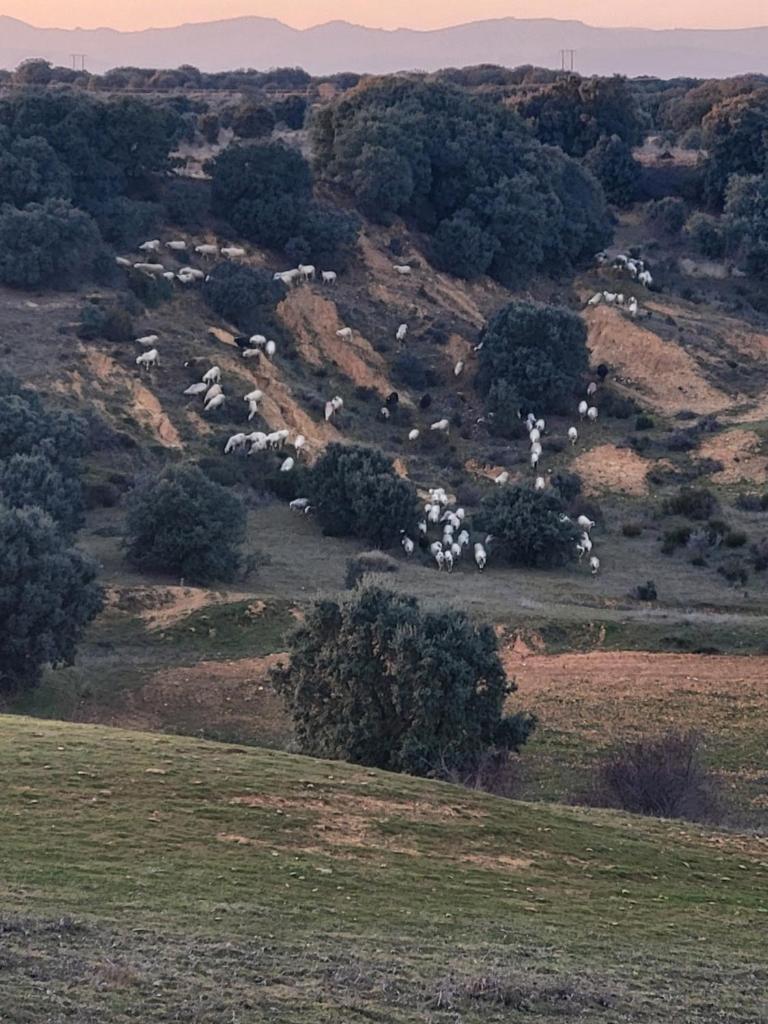 La Pedrosa Casa Rural photo 2