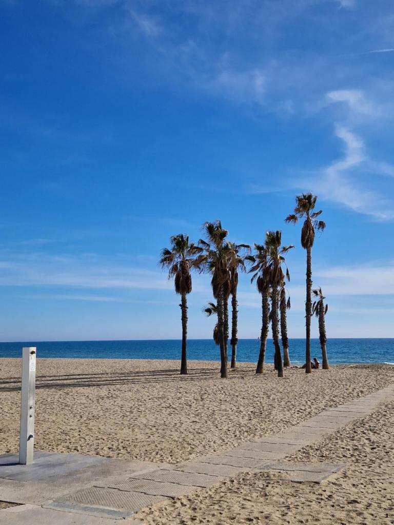 Beach Apartment photo 1