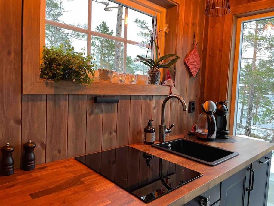 Cosy cabin between lake and mountain photo 4