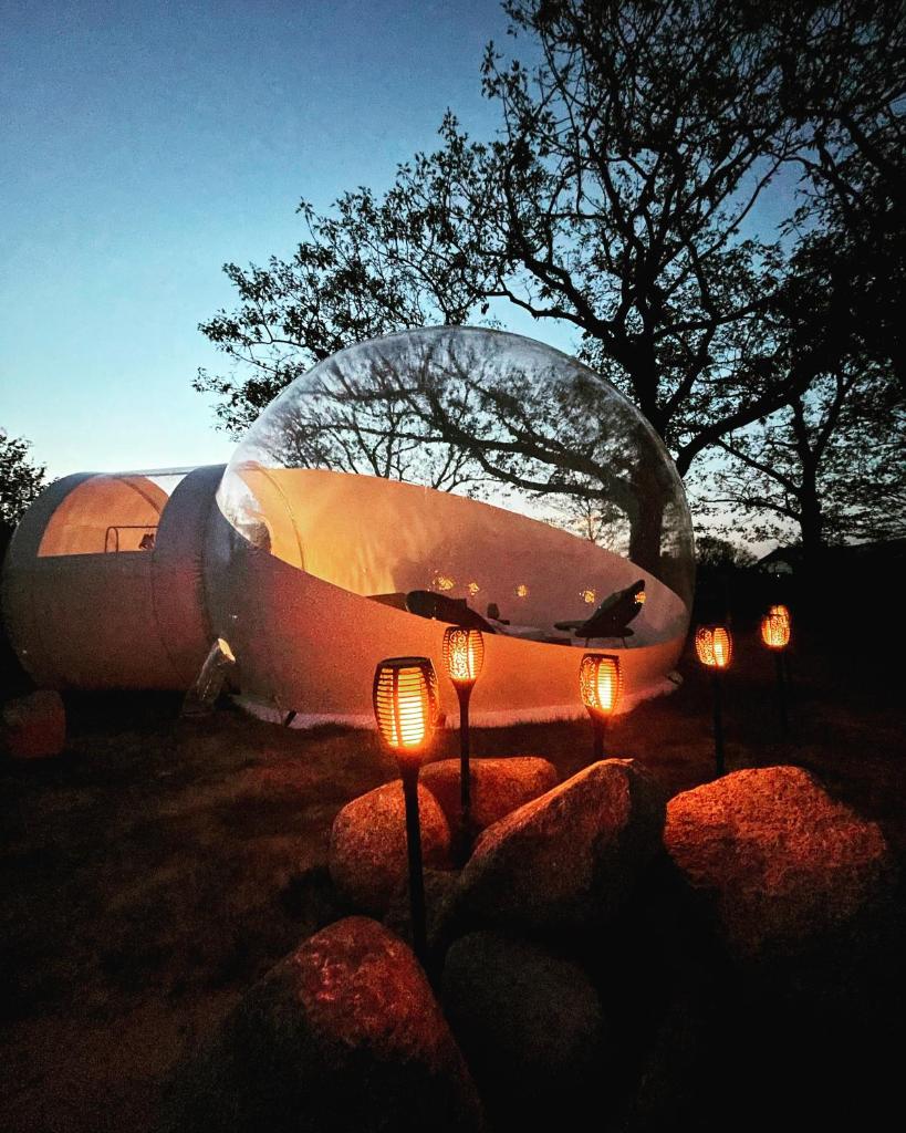 Bubble Tent Berlin photo 4