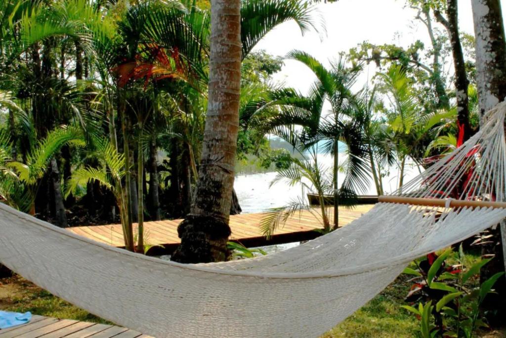 Luxurious entire country house in Rio Dulce, Guatemala photo 3