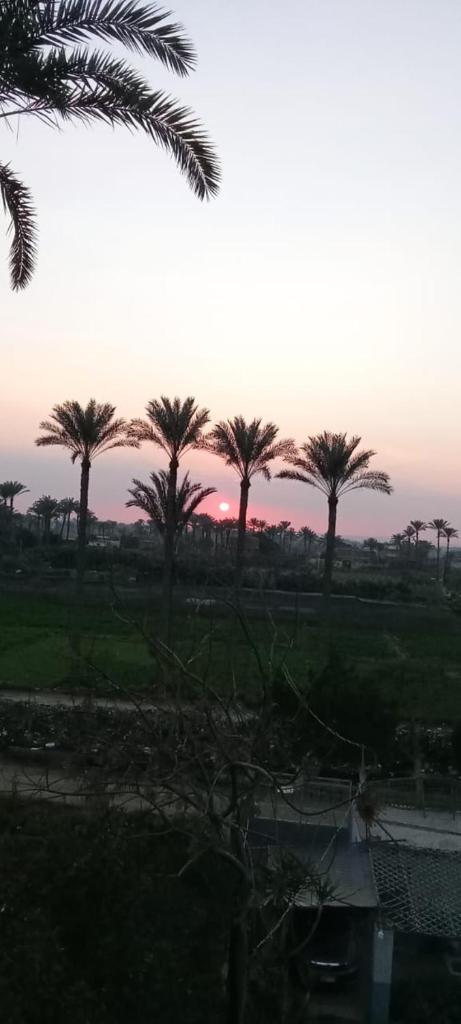 فندق لؤلؤة الريف photo 2