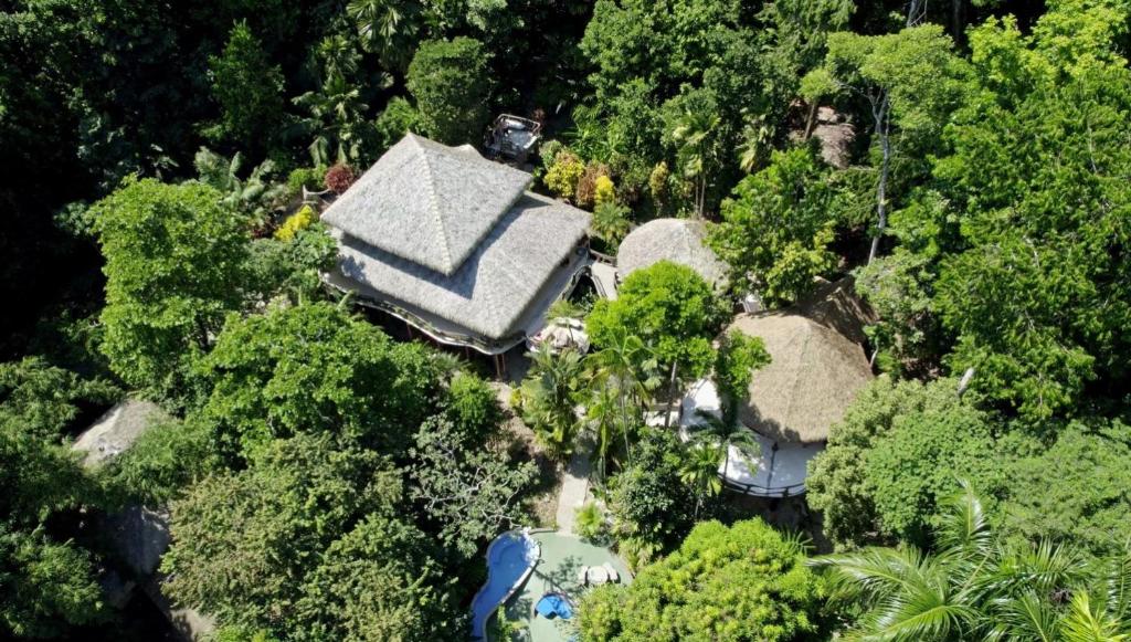 Casa Vida Verde
