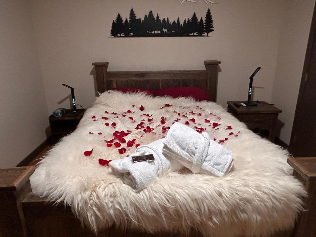 Luxury suite with Sauna and Spa Bath - Elkside Hideout B&B photo 2
