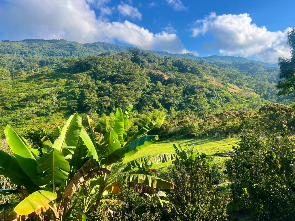 Finca Apeiron photo 2