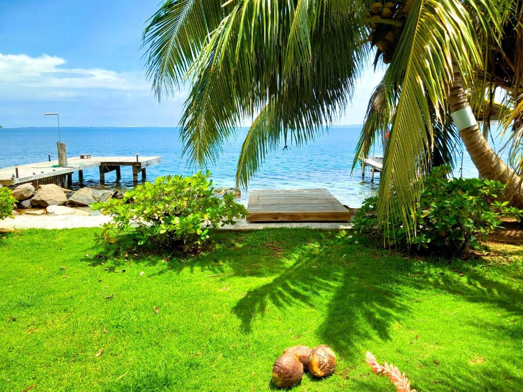 RAIATEA - Teana Guest House Rooms photo 2