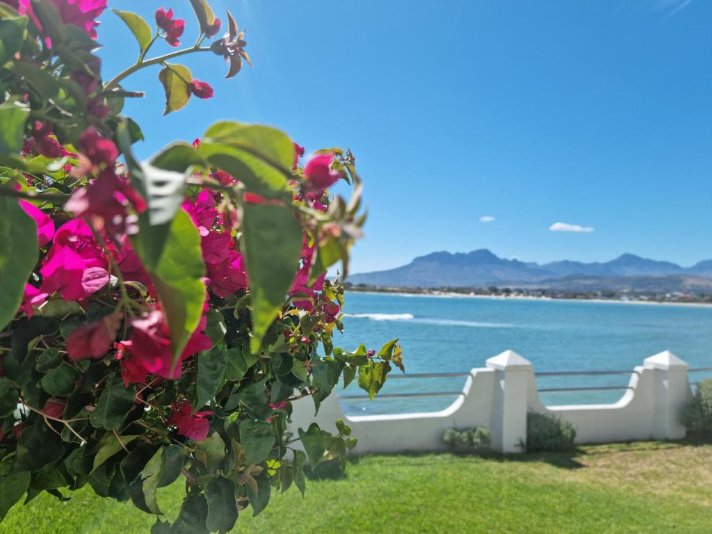 Westbank Private Beach Villa, 4 Bedrooms, Private pool, on the Beach! photo 2