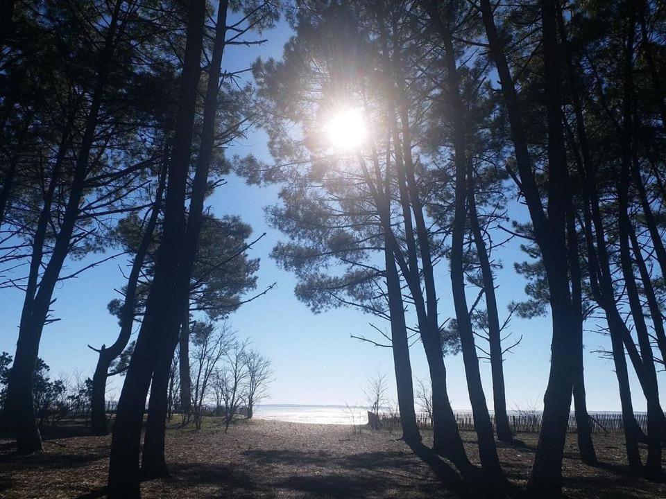 Camping Les Goélands - Maeva photo 2