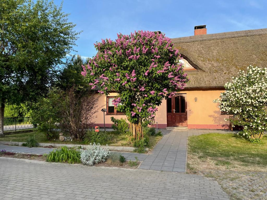 4Seiten-Hof mit Wasserblick perfekt für 2 Familien