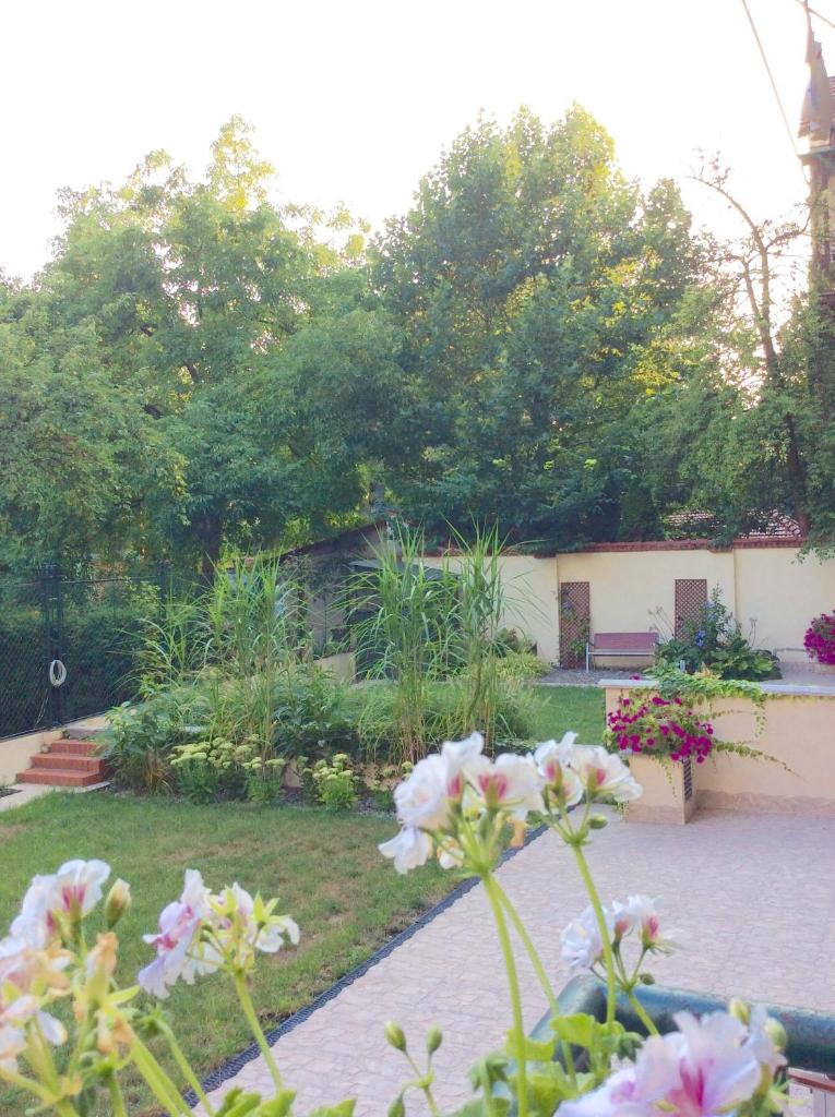 Апартаменты (Апартаменты), Apartament Amaryllis