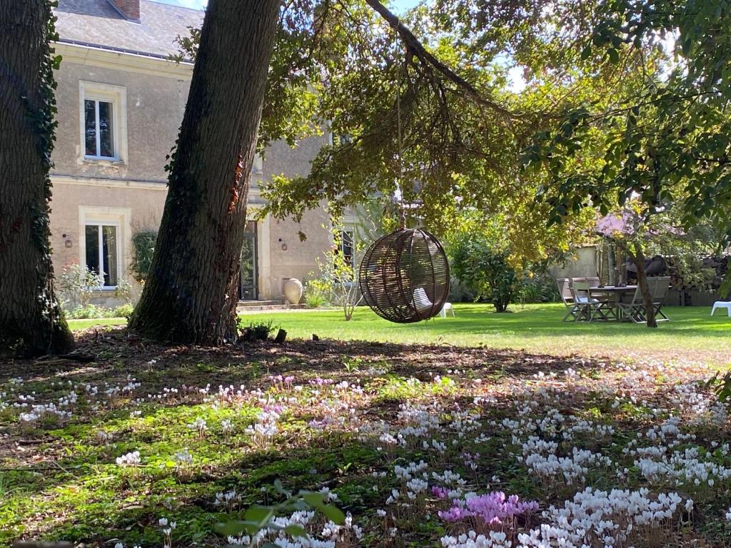 Domaine de La Soudelle photo 1