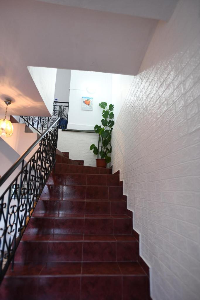 Guest House Luli photo 2