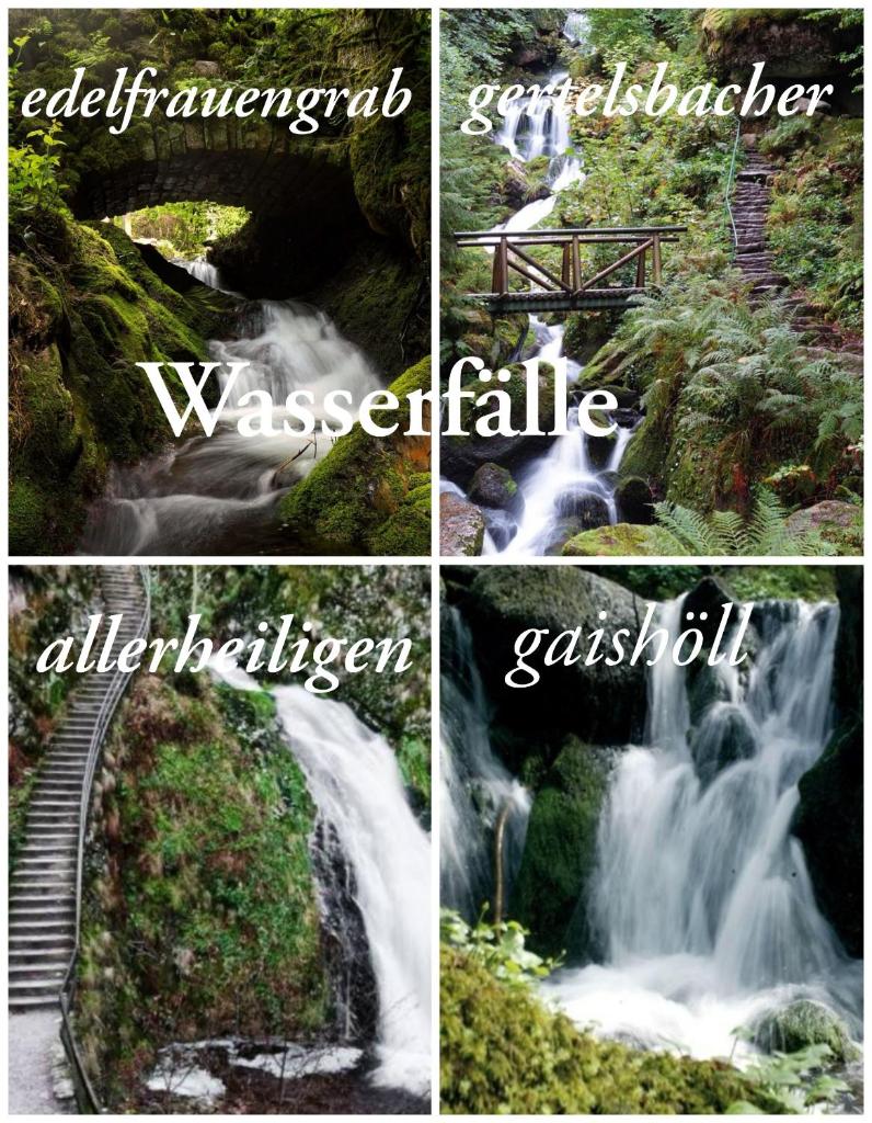 Gaishöll-Wasserfälle Apartment Schwarzwald photo 2