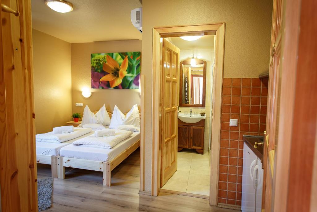 Апартаменты (Апартаменты (для 2 взрослых)), Hotel Karin