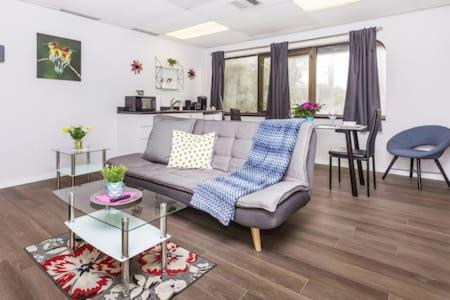 Modern 1BR Apartment - Near to Little Italy