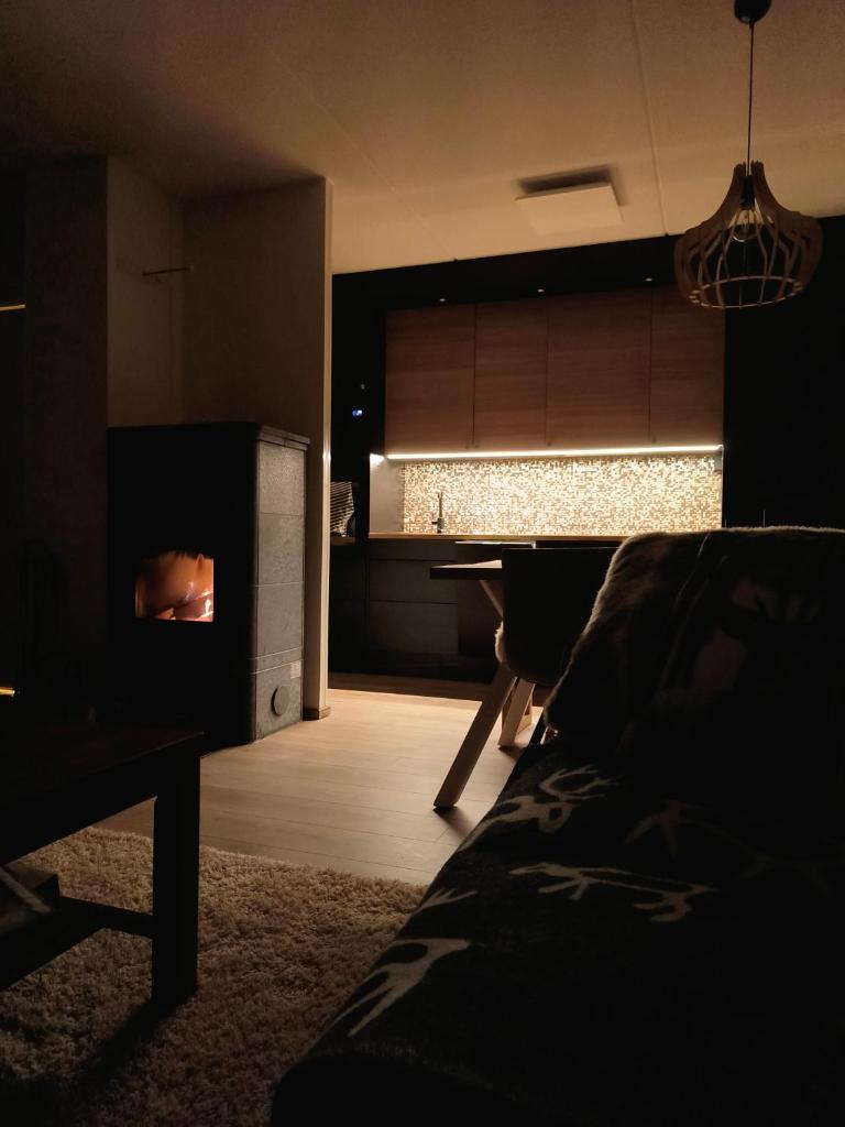 Karhunvartijan Kartano 3 B 1, Rukan keskusta photo 3
