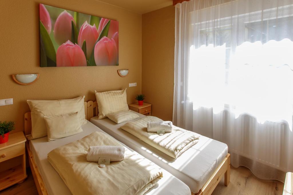 Апартаменты (Апартаменты (для 2 взрослых)), Hotel Karin