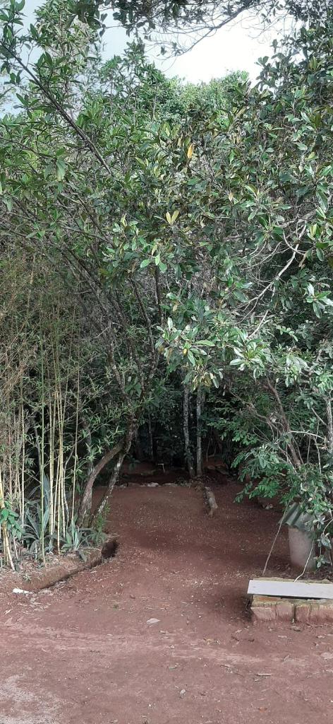Camping Terra do Nunca photo 3