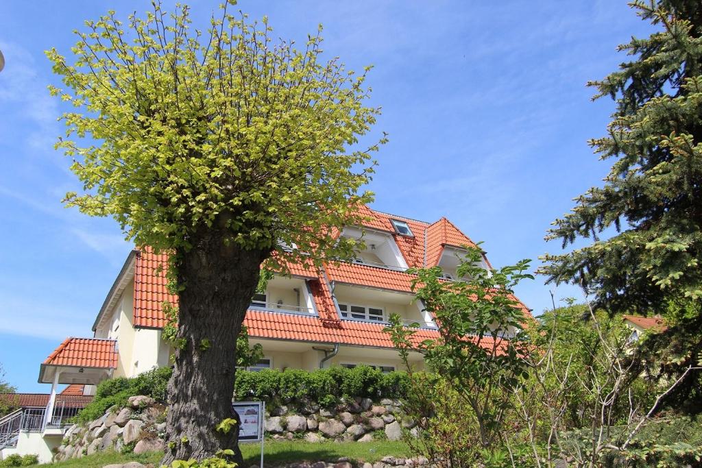 Hafenhäuser Breege - Ferienwohnung 18 - Ankerplatz