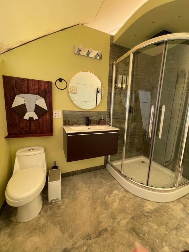 LUXURY ECO photo 3