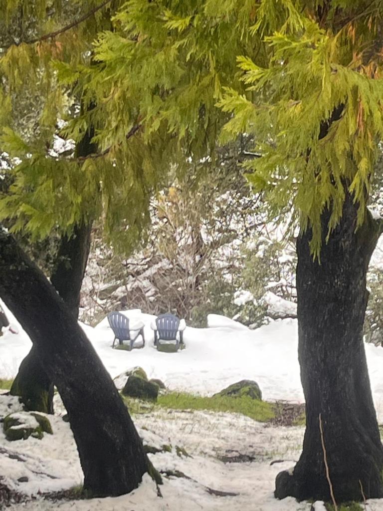 Ponderosa Creekside Retreat photo 4