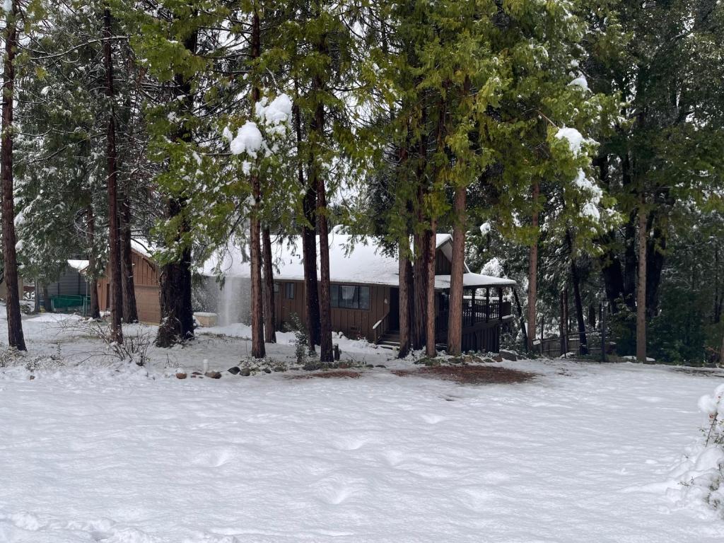 Ponderosa Creekside Retreat photo 2