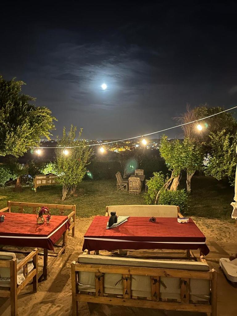 NubaNile Guesthouse photo 4