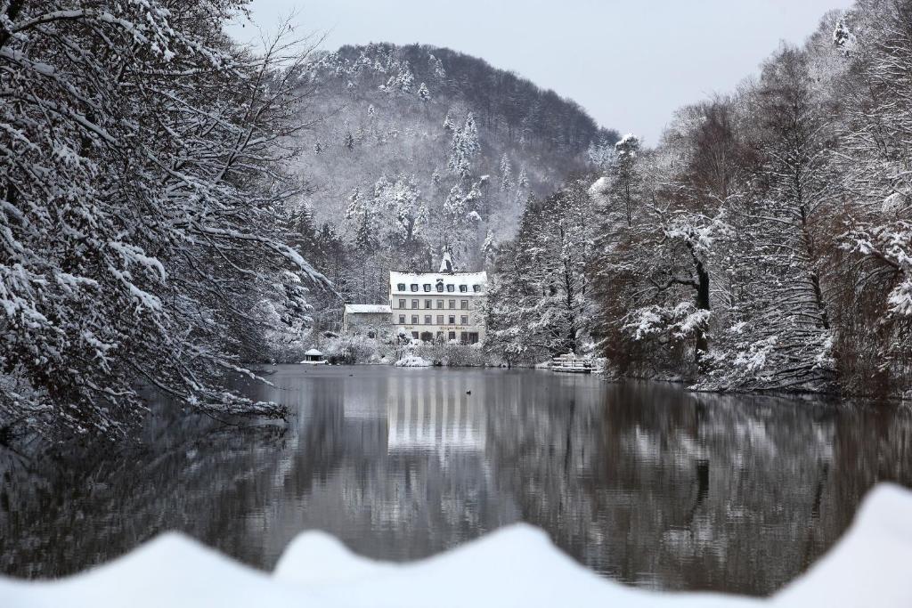 Hotel Pfälzer Wald photo 2