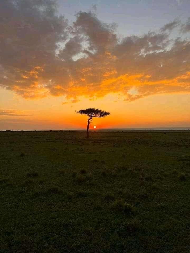 Maasai home village photo 3