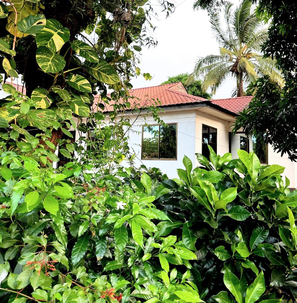 Elrad Residence Villa by Monalisa