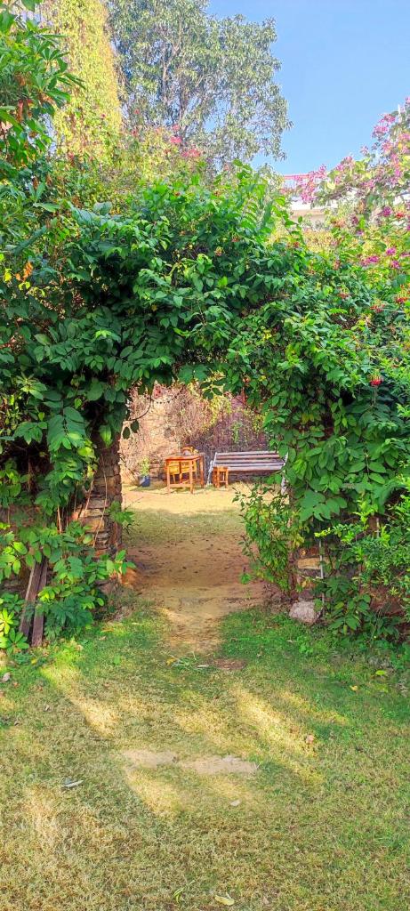 the secret garden photo 2