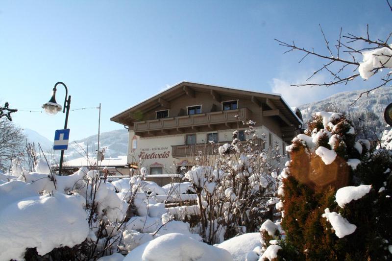 Hotel Edelweiss photo 1