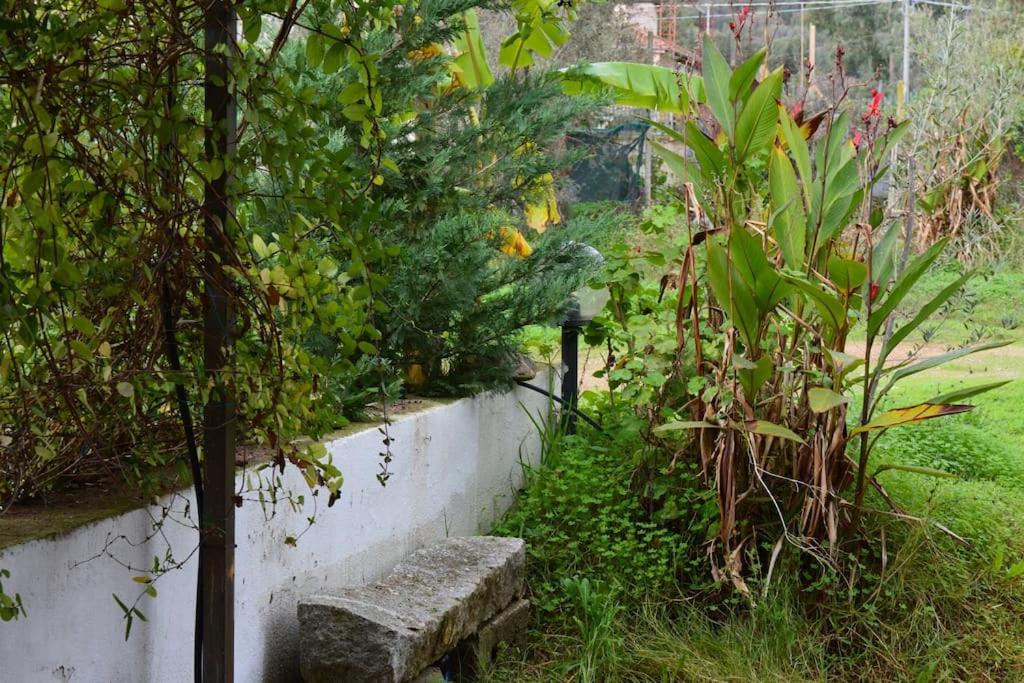 Artist House photo 1